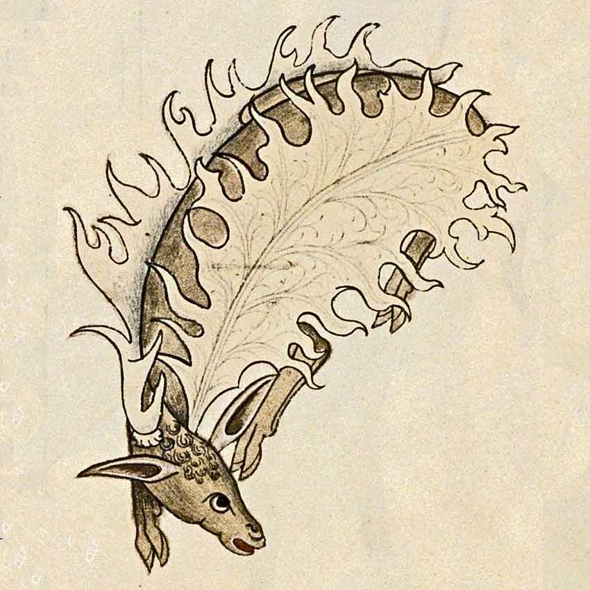Bodleian Library, MS. Ashmole 1504, fol. 40v